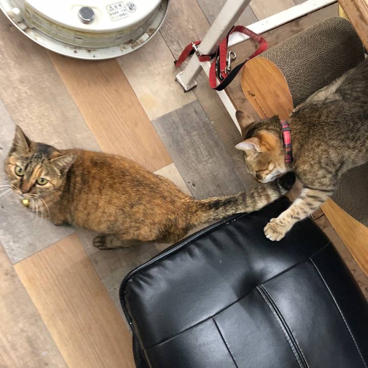 Ac57db83 b4b9 4263 816b 9e8af881d57d 1638524965050