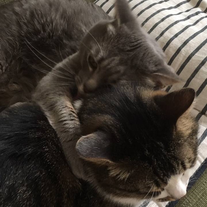 Ac57f9a6 94d4 4f89 ad84 0894879f6037 1628468829254