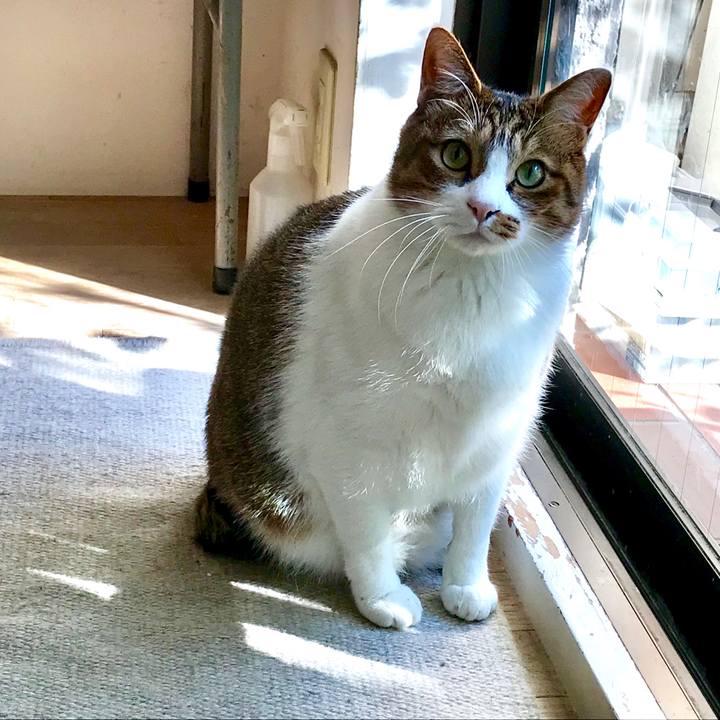 Ac57fa31 bf54 4edb ac63 5e3398f72a47 1547176862726