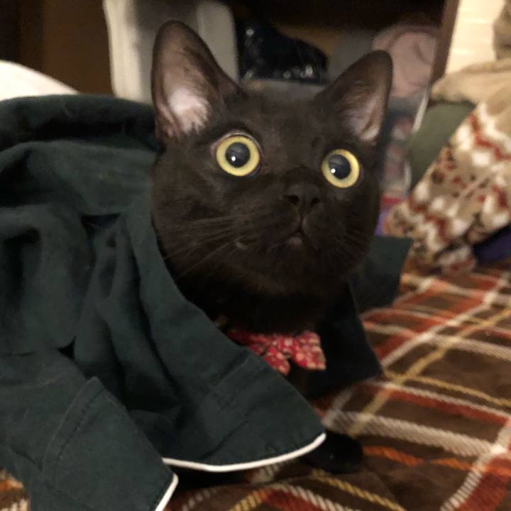 Ac581893 5bca 45b2 8fa2 1c153c03421f 1520203160545