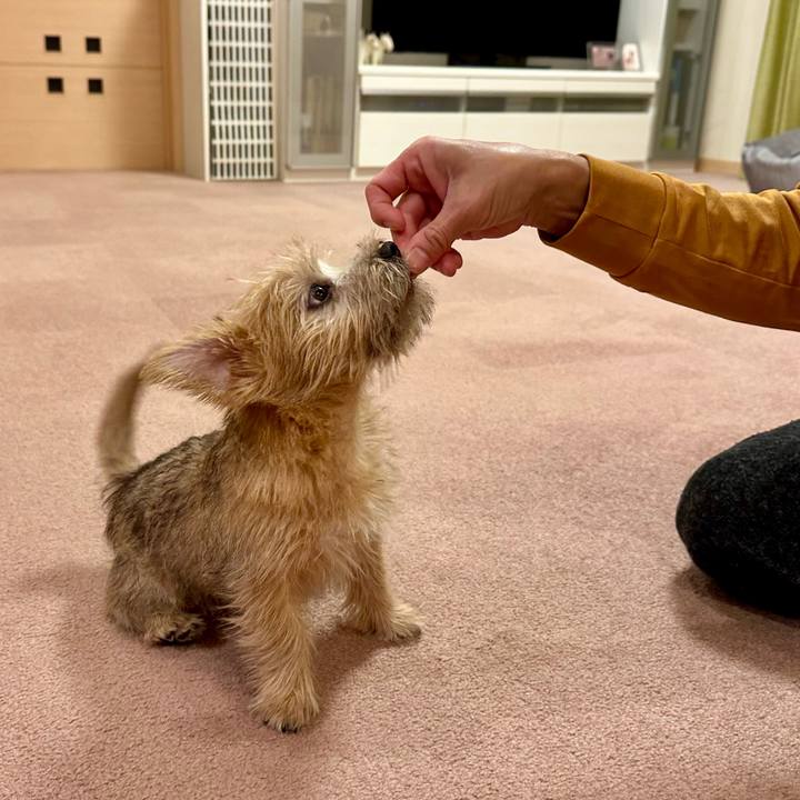 Ac58205a f1c7 4bba 9dec a6311eca21eb 1702042069535