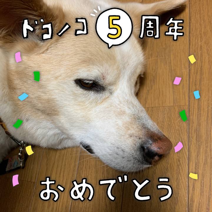 Ac582386 ef7d 4192 953a 698073142ef9 1622896923734