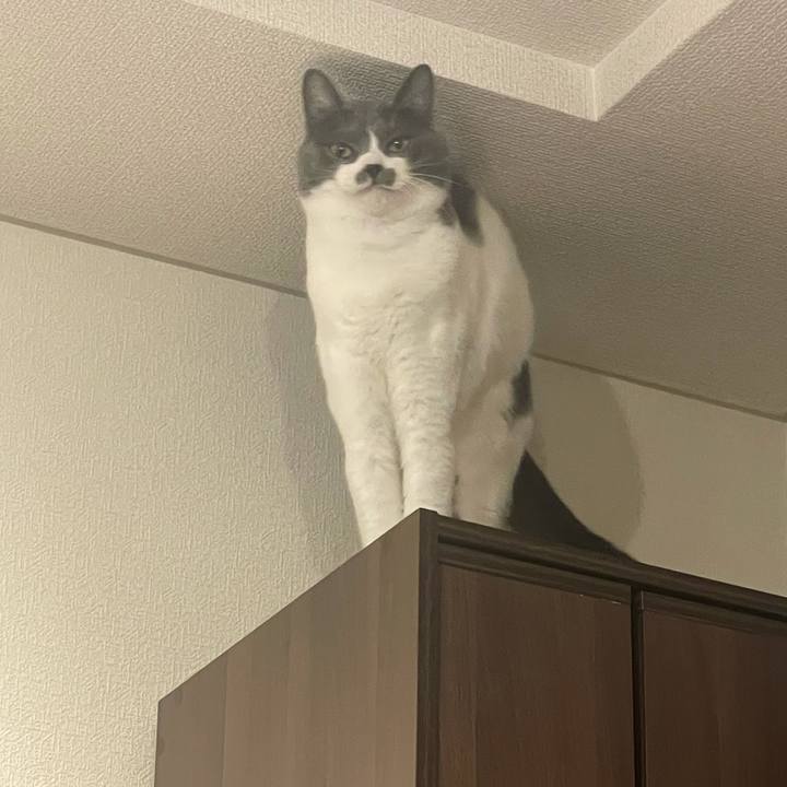 Ac5848c2 8925 4daf 8055 f62e7828b261 1625994256887