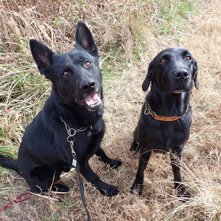 Ac585e3d 5e5f 4984 bf5c 434c1a714b19 1735159257792