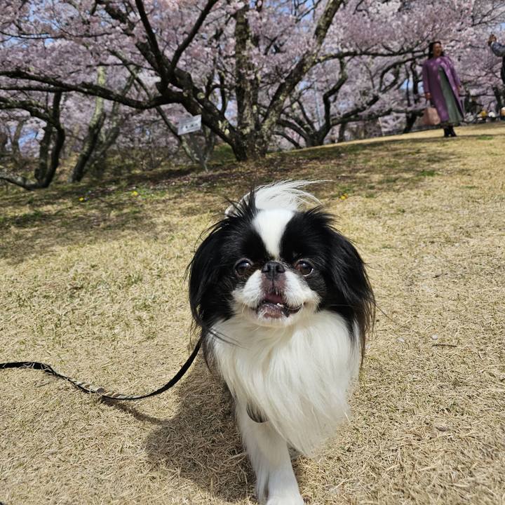 Ac5869ce ed6c 4d4f bece 5860ce07023e 1712832509146