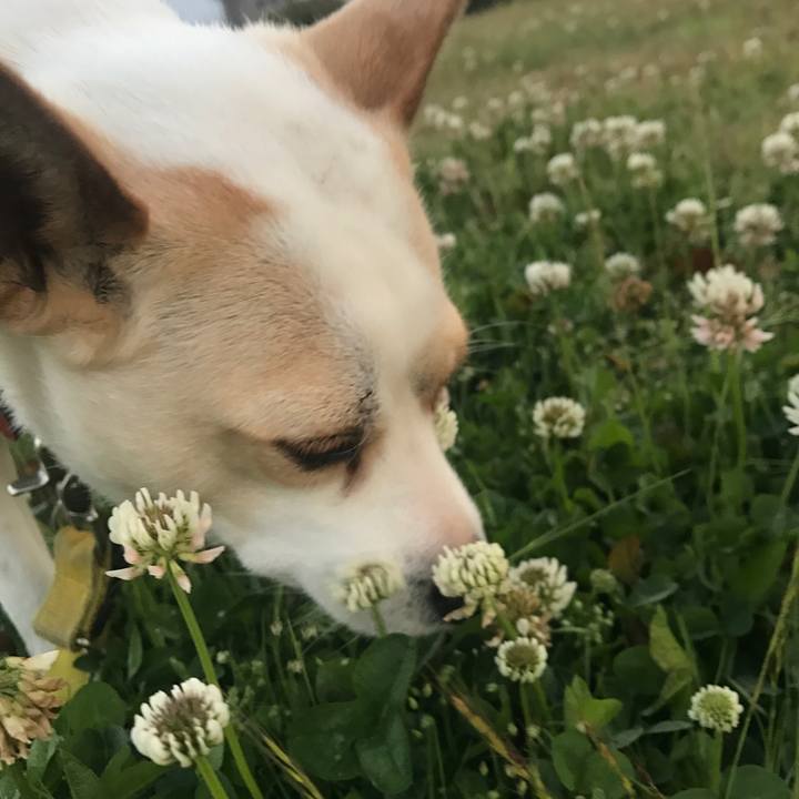 Ac587410 18e1 4a36 b326 bb90e030bcf4 1556019166881