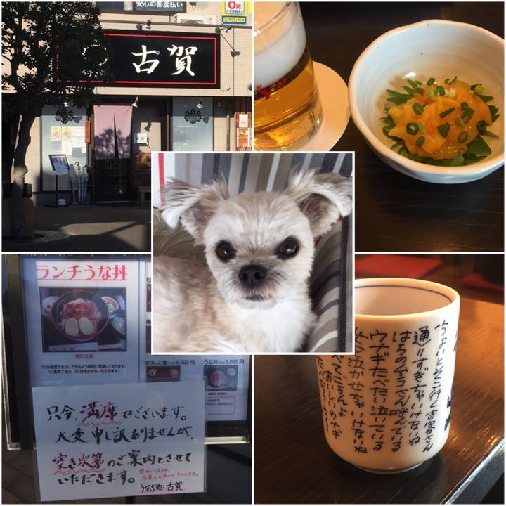 Ac587572 0a72 4177 894a 67ddf37e0584 1545903049203