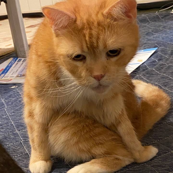 Ac589ca5 7d08 4ade bf43 c3be4224f676 1601370295109