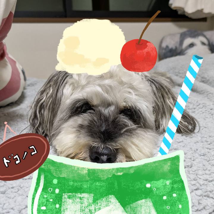 Ac58ee01 4ede 4b49 981b 90d6c10eb36f 1755183350614