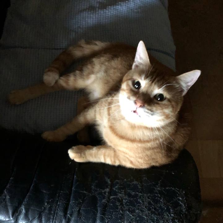 Ac58f47e e324 466d 8129 e0e433a2807e 1565409056866