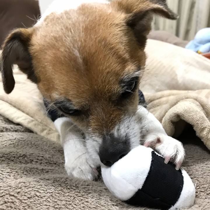 Ac58fd4d b6e5 408f 8bc9 efd7d941c1bf 1547461620610