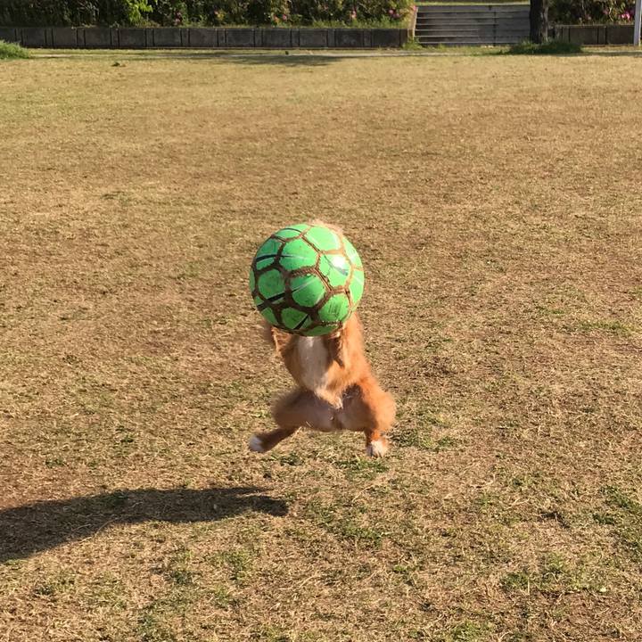 Ac5904ee 7dd6 4d03 ae60 64d8f62c5e08 1587880849614