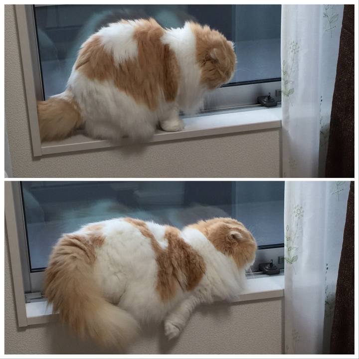 Ac592a75 a47e 4dc6 b0a8 806baa56a668 1578608523705