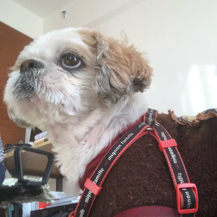 Ac592af3 abcf 4d6c 9d75 00052ece102a 1608674391657