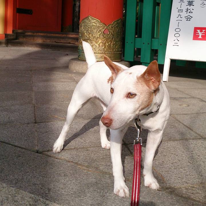 Ac593105 1790 47d4 ae4b 3693cc70d780 1754266227037