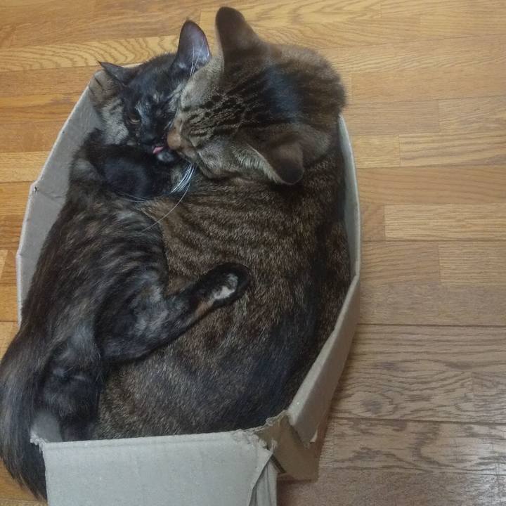 Ac594323 1327 4707 9eaf f4073cf63f36 1725709544325