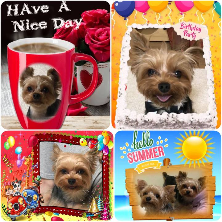 Ac5943a9 1708 4460 8cb1 9ecfc2475b28 1594519161406