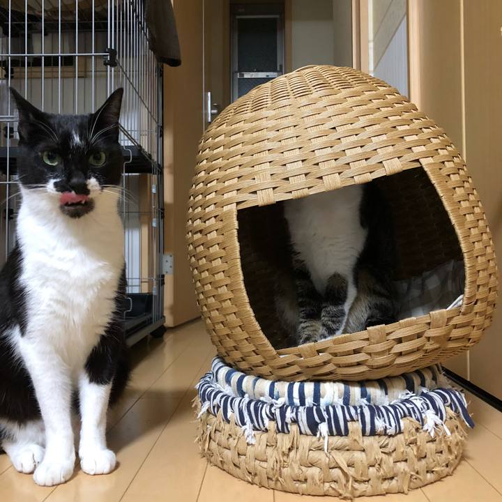 Ac596de5 8958 4261 9ad3 b08c3f69ebe3 1635174822633