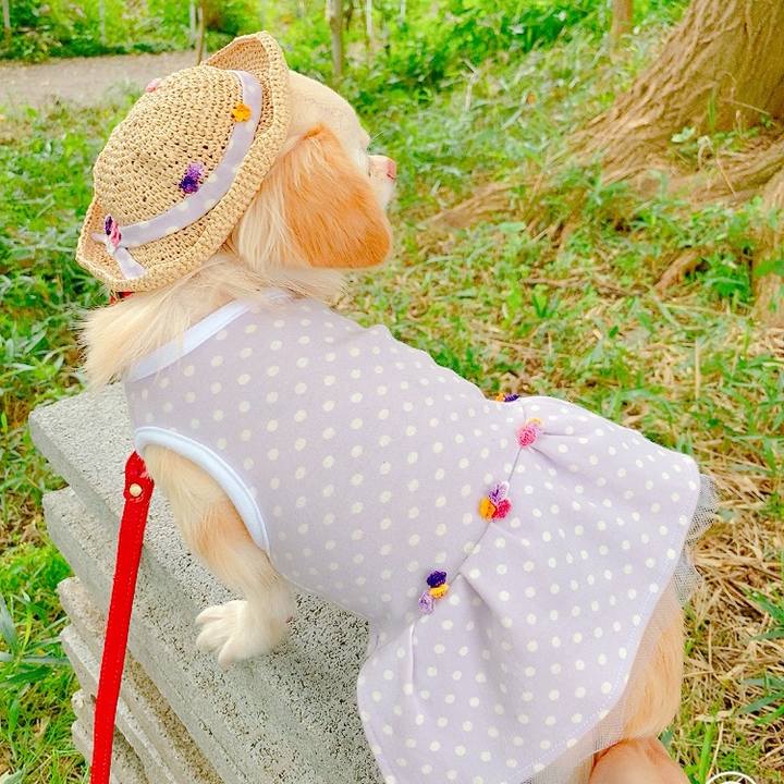 Ac597ce9 c176 47c2 89b0 c1b88312475f 1631451006875