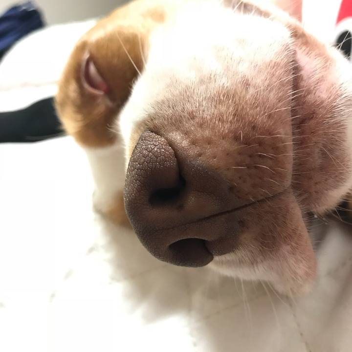 Ac5994fb d0b4 49f2 8aaa 26b1ed5c8bf9 1524924956608