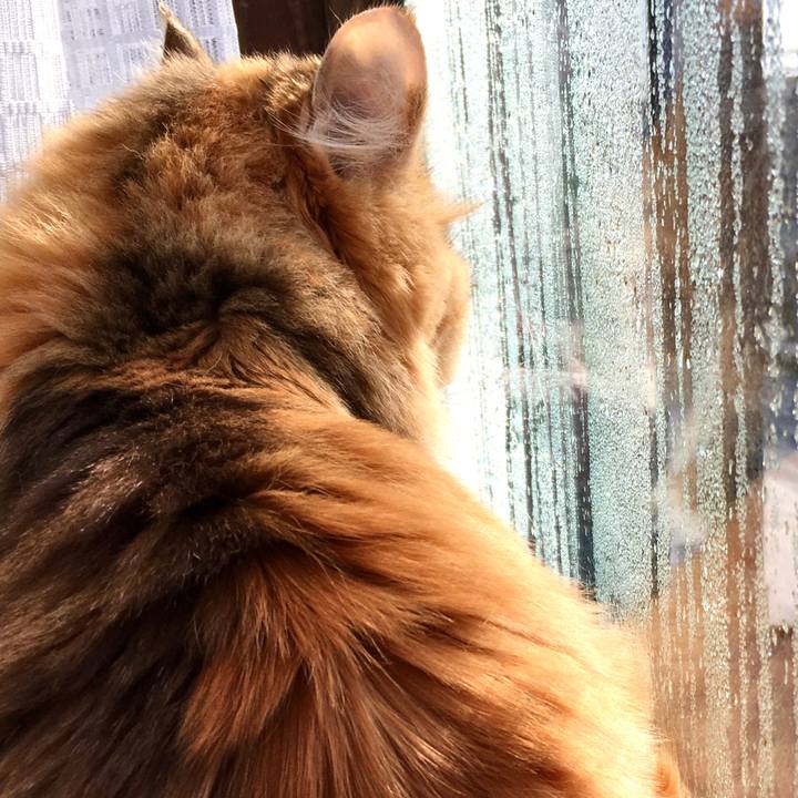 Ac599a3d 106c 46e9 90bb abf1572ed895 1578972108344