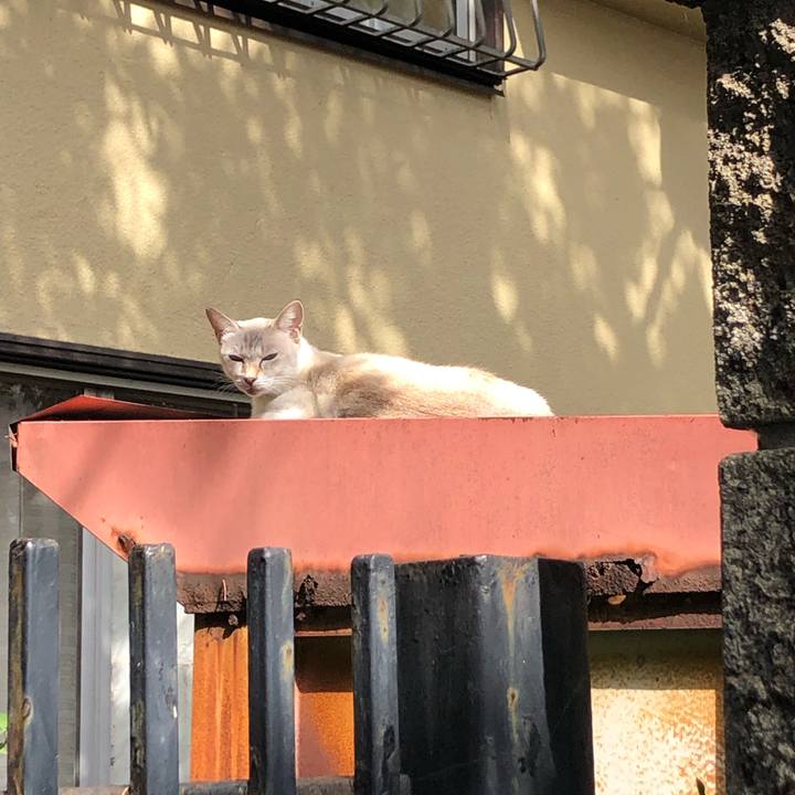 Ac59bbdb 5666 49c4 98c8 851344109d97 1572727880234