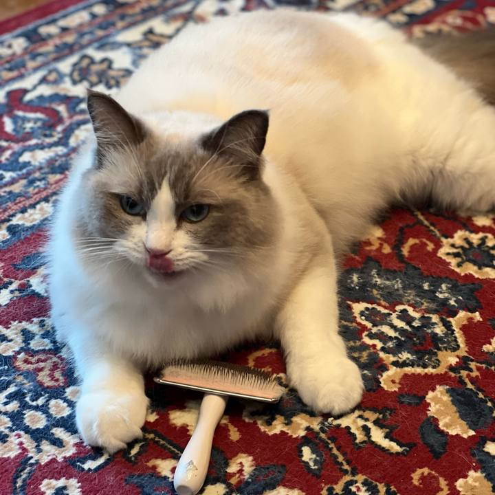 Ac59c490 b9b4 4ec2 bd12 9bcb66f6cdb8 1658759829056