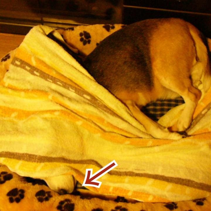 Ac5a35ec c061 464a a073 85f2594e50a6 1660177774727