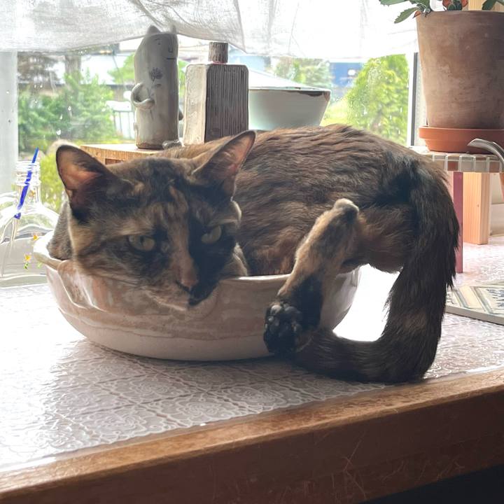 Ac5a4f2e d2fa 48bb bf17 bec35baea61a 1691098180589