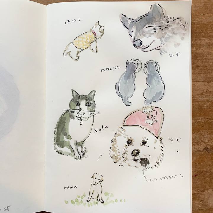 Ac5a70d3 3d00 40ec 96ce c6f5f00623b2 1574903061078