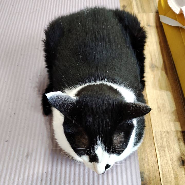 Ac5a7a14 c8f3 4339 a432 f2425a684f88 1762174780420