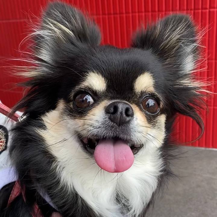 Ac5a9eaf 44d5 46fd 9e5a 25bc9a96e977 1623459892509