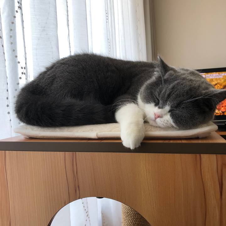 Ac5af28f ce2f 4135 bbed fbfe7e772311 1547170688327