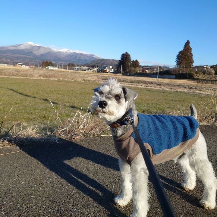 Ac5b099a c19d 4271 a900 e60bce0b54ae 1773271329584