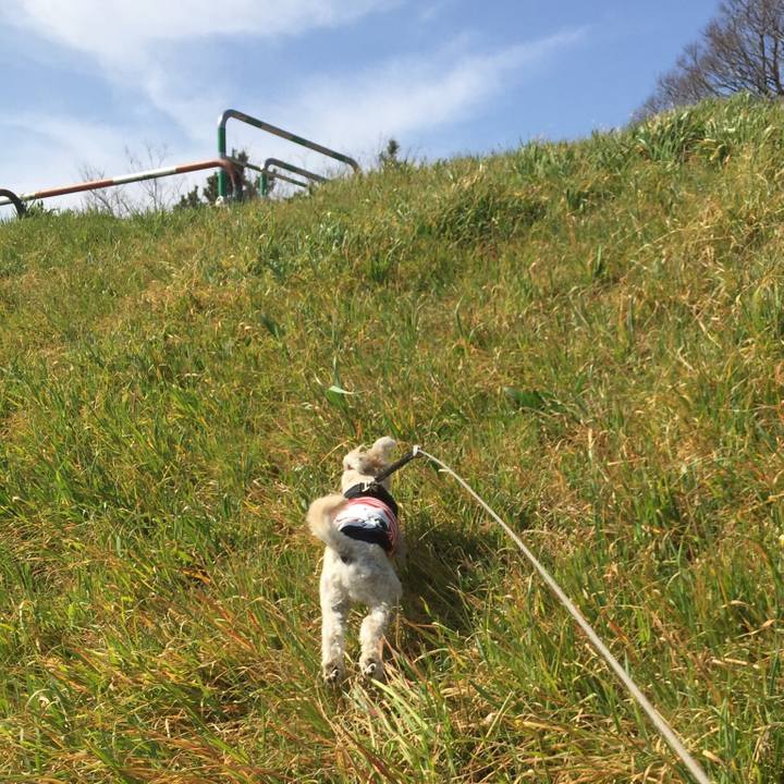 Ac5b120f f679 4708 8e44 69ea856e867d 1520149910794