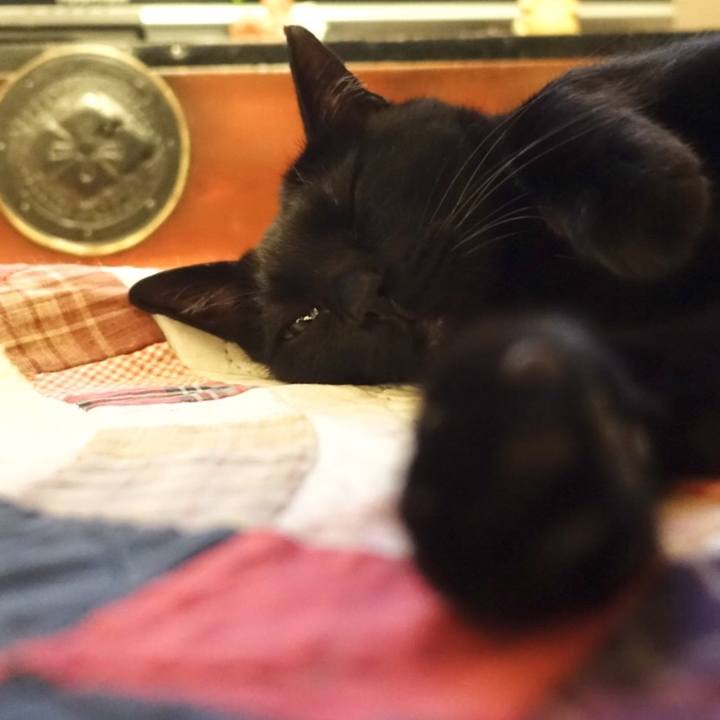 Ac5b155d 4b9f 4183 903e 5dff0a4a9b6b 1557412016740