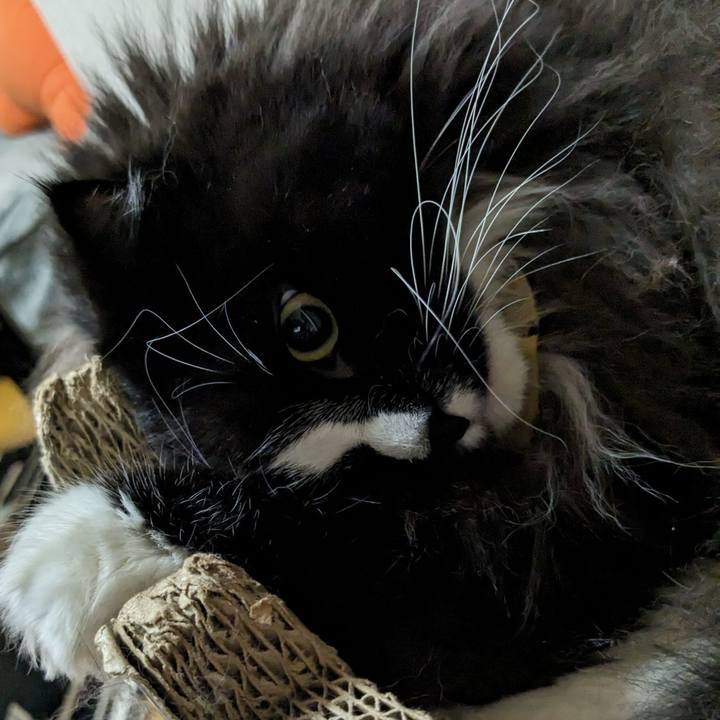 Ac5b31b8 83eb 4174 855c cf8012e71e66 1699276592902