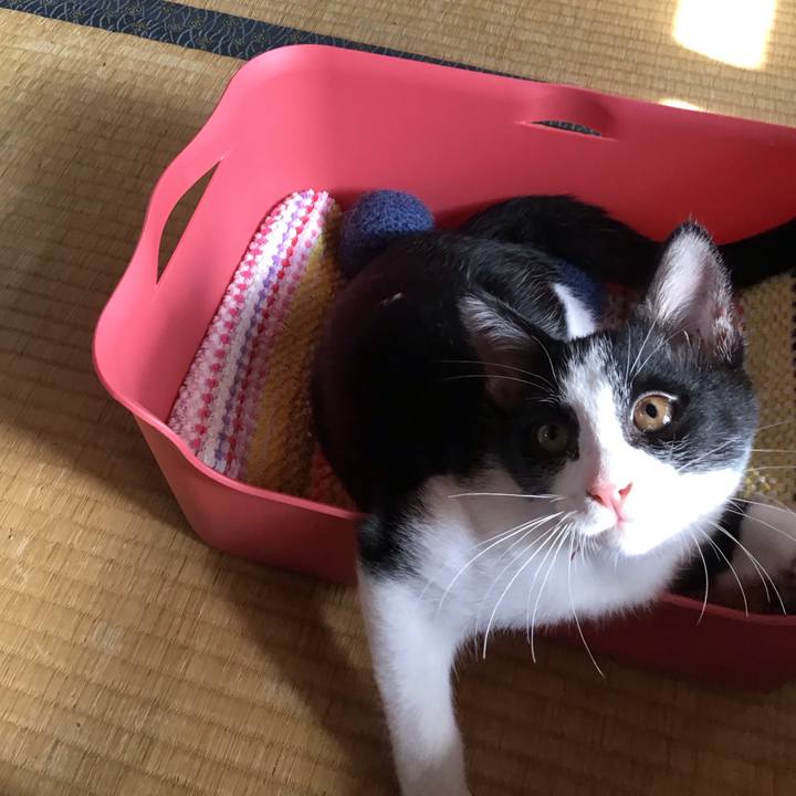 Ac5bbba0 0664 44eb 9175 64161cf767e9 1627867893246