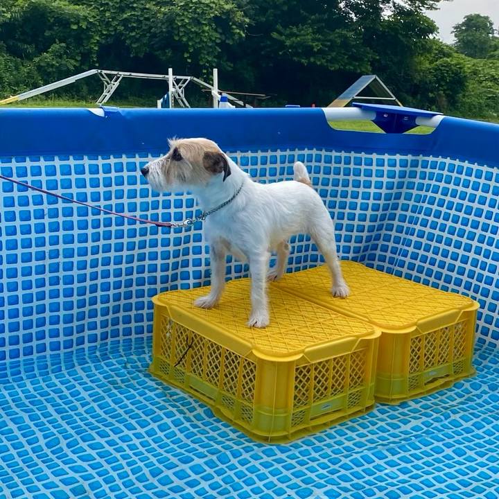 Ac5bc1b6 fc8a 465f 9408 8907206f1985 1719383558974