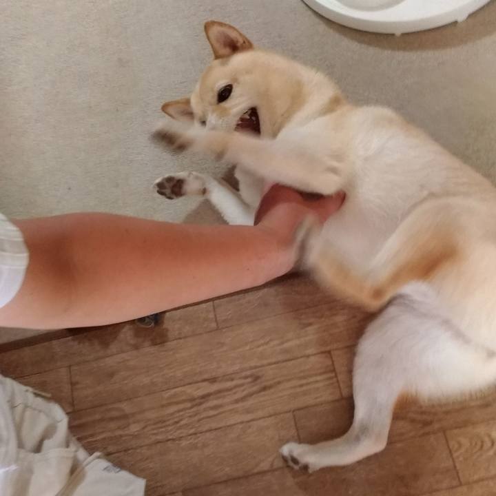 Ac5bc287 c3ac 4230 bf65 c10dc3ca2851 1597410484454