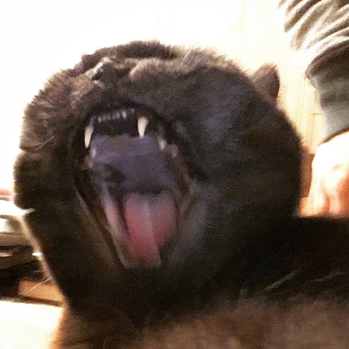 Ac5bde86 eaf4 436d 8881 f4ccb6476faf 1524502665359