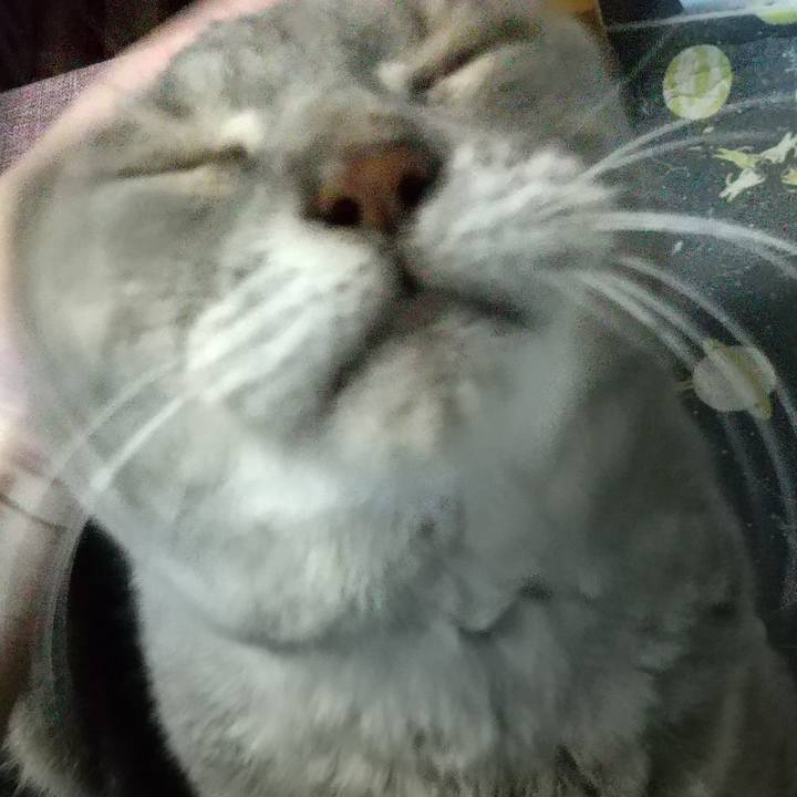 Ac5be3ed ec2c 4e39 b8bc 94b00a0f5ea3 1662459321619