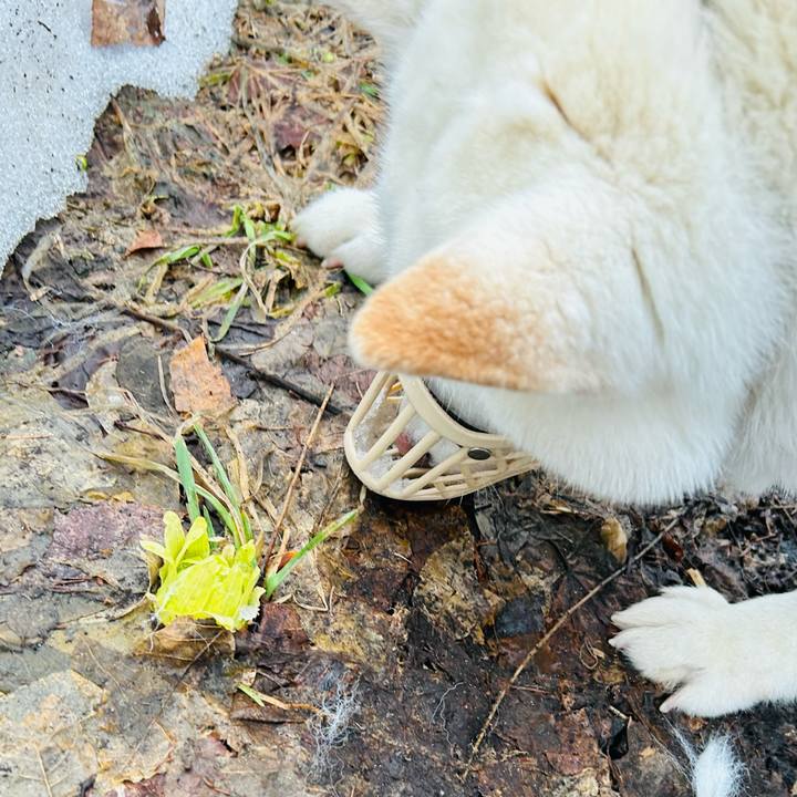 Ac5c1099 8454 4c98 a896 08c0516f1cb1 1774218662897