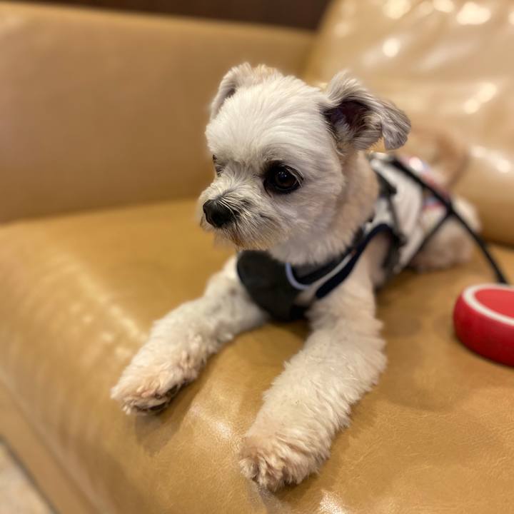 Ac5c11d4 6193 4674 bd99 8b81c7a0c08d 1571632374080