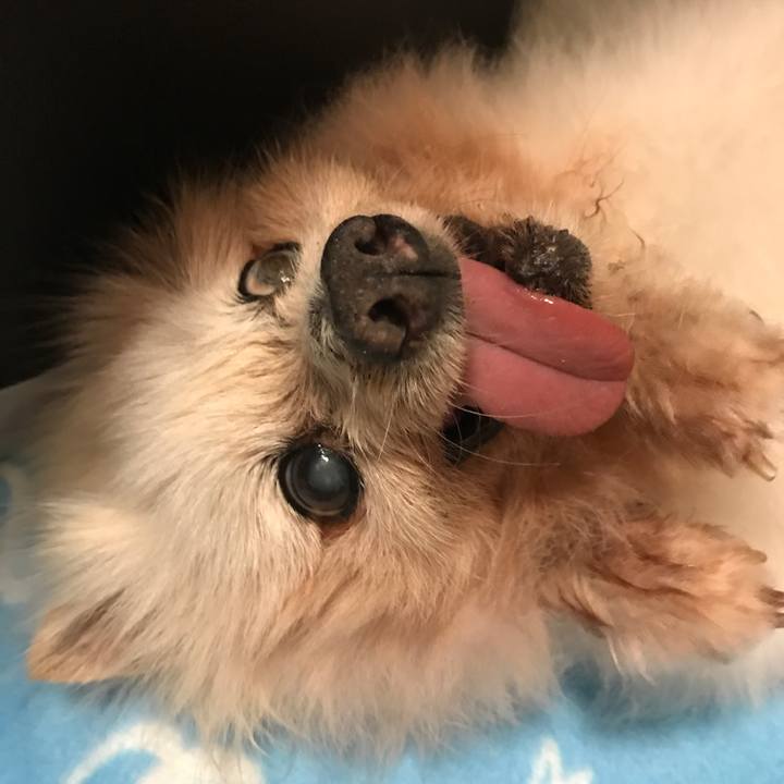 Ac5c68c6 3910 489b a8a0 f7a24fe39c8f 1532364720365