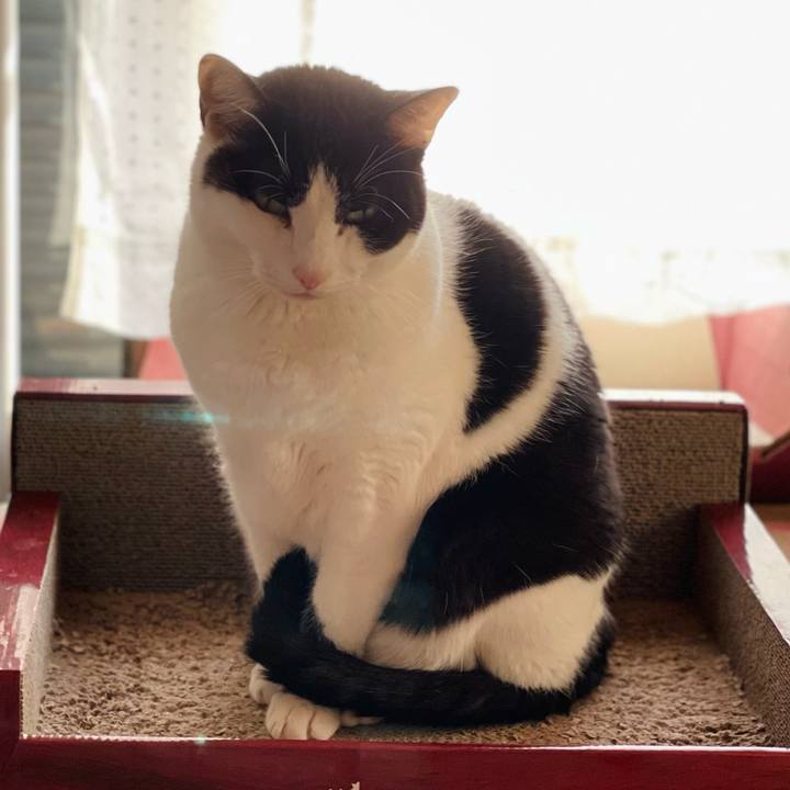 Ac5c771d 6a45 4296 89f9 99c8114918f8 1644456353255