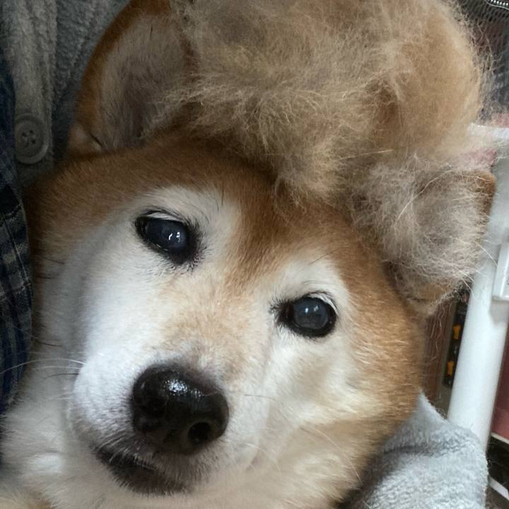 Ac5cbea3 e58f 41b6 8ad2 978809b20344 1718957349952