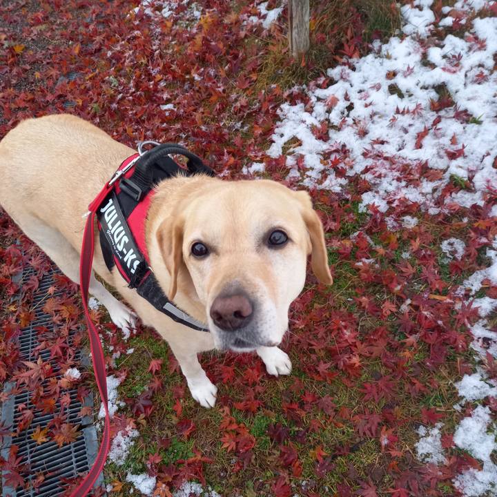 Ac5cce4d c923 4146 ab33 ac13aa1a07ec 1608288089753