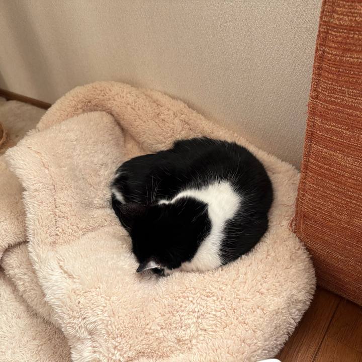 Ac5cd29f 829d 4fa3 abeb 5edc2332f7a7 1764367021473