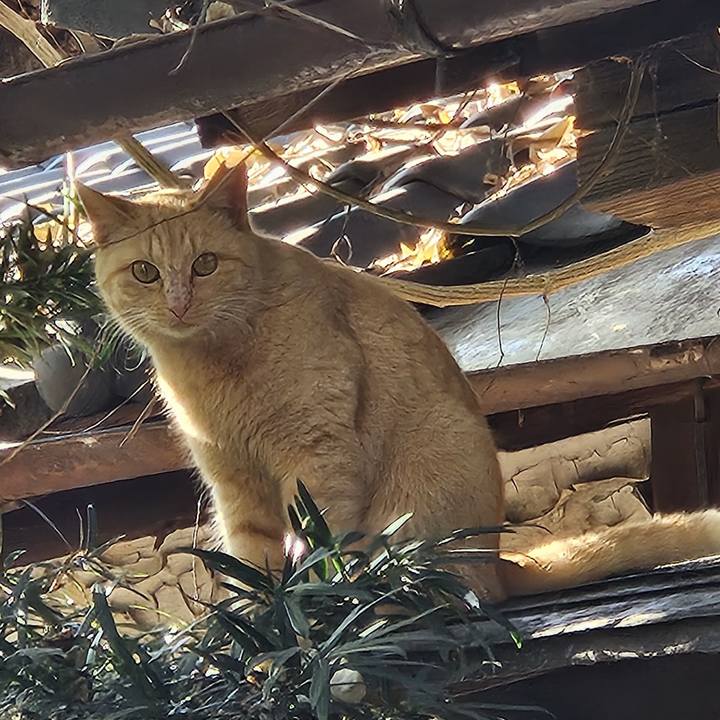 Ac5cfe2b 37c4 45ac b0f3 5f19e600d960 1734491644998